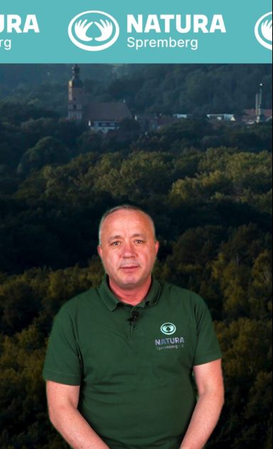 Mann in grünem Polohemd vor einem bewaldeten Landschaftshintergrund.