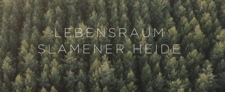 Lebensraum Slamener Heide